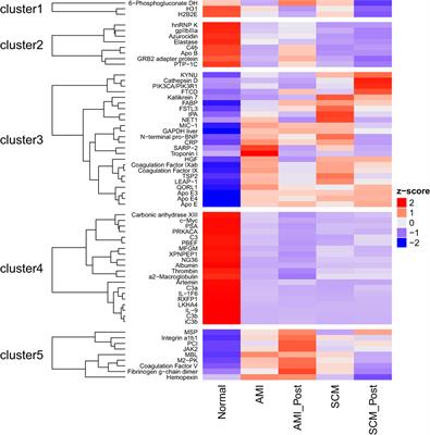 Activation of Inflammatory and Pro-Thrombotic Pathways in Acute Stress Cardiomyopathy